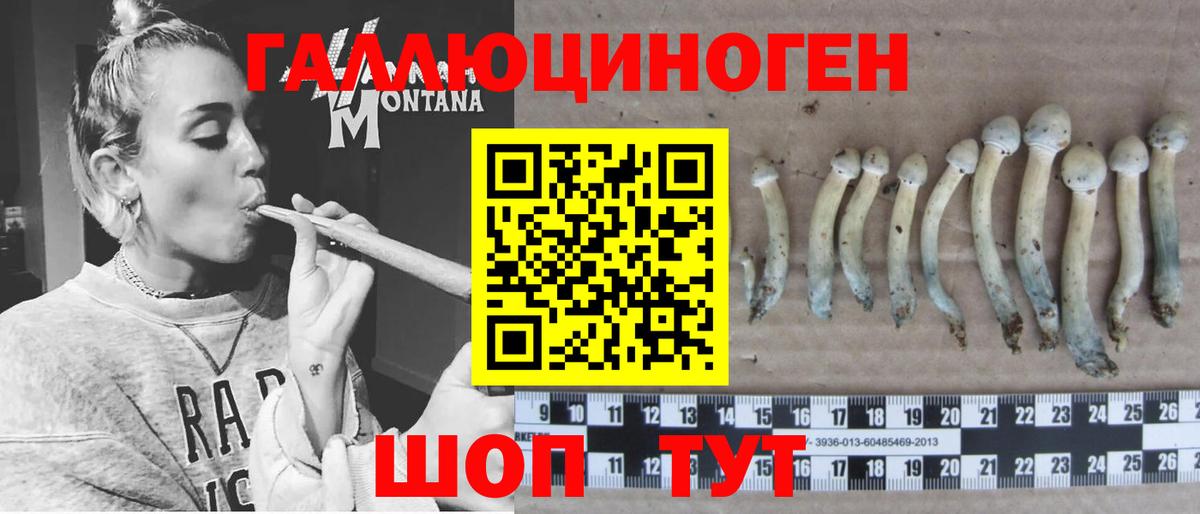 Псилоцибиновые грибы прущие грибы  Вход с VPN  Аша 